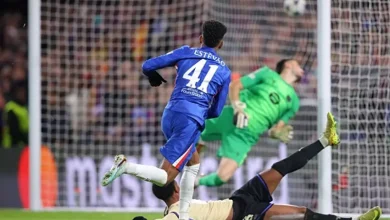 إستيفاو.. التاج الذي خرج من رماد البرازيل